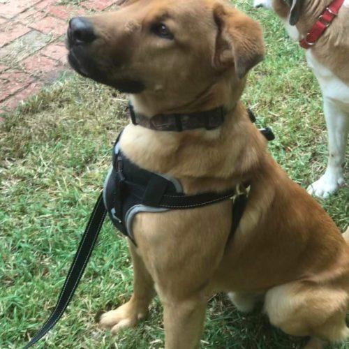 Turner It Takes A Village Rescue