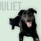 Juliet