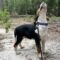 Kelpie