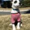 Peppermint Patty