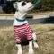 Peppermint Patty