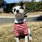 Peppermint Patty