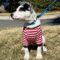 Peppermint Patty