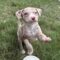 LEAH BABY 6