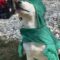 Kenai
