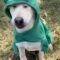 Kenai