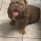 RASPUTIA NOW NELLY
